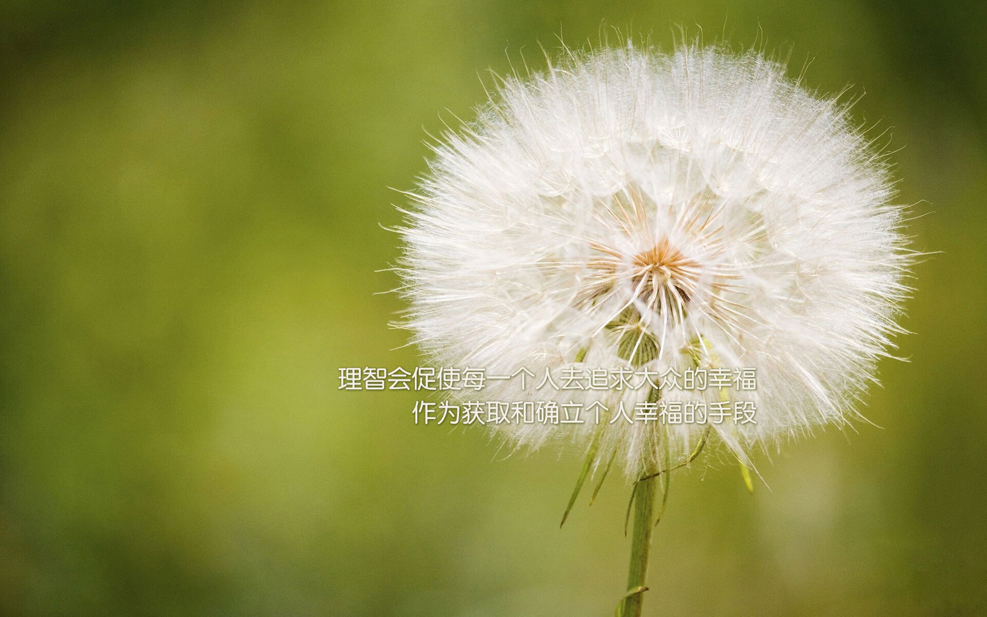 _青春风采：青少年组比赛燃爆青春热血_，青少年比赛视频