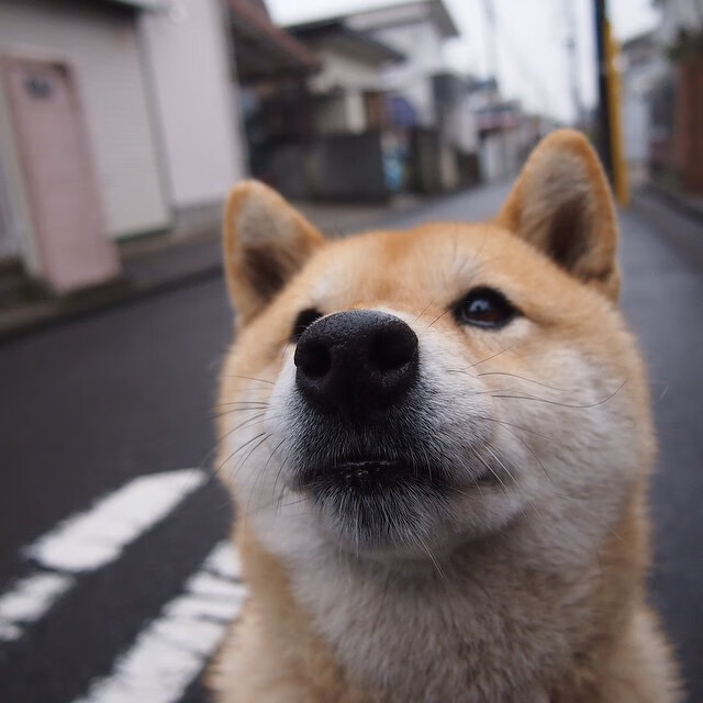 西甲球队通过视觉反应测试强化短距离配合默契度，西甲镜头