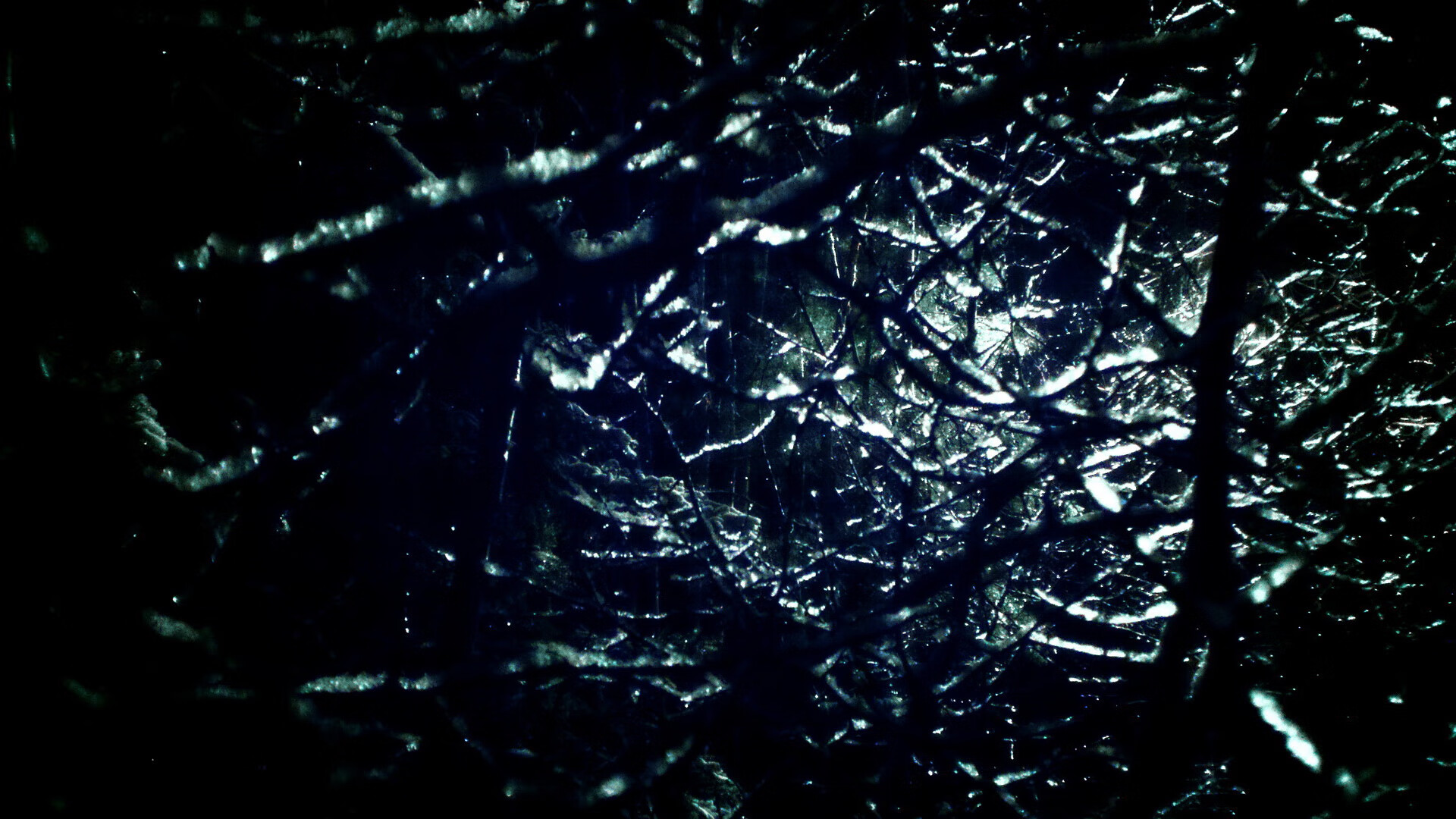 2025世俱杯-高校体育教学科研一体化发展模式探索，高校体育课程建设