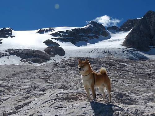 世俱杯足球-CBA联盟加快推进智能化赛事运营体系，cba联赛竞赛方案