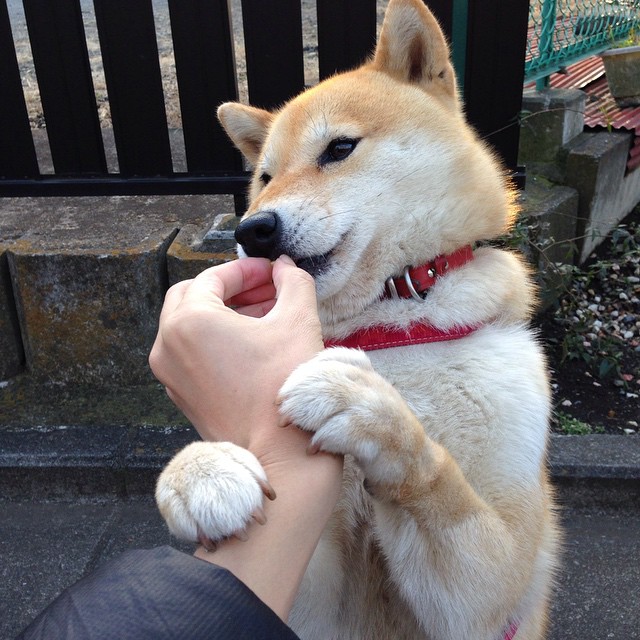 CBA联盟拓展训练营合作加强基层力量，cba训练营在哪里