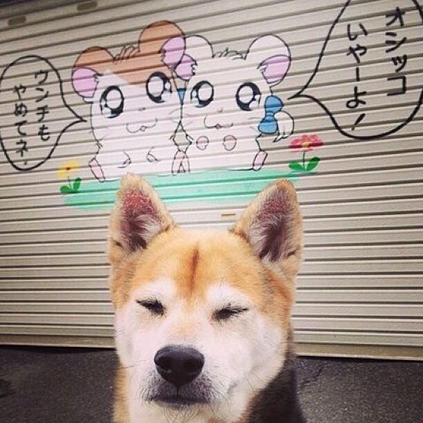 世俱杯2025全程直播-中国三人篮球男队聚焦配合精度与时机，中国三人篮球队员资料