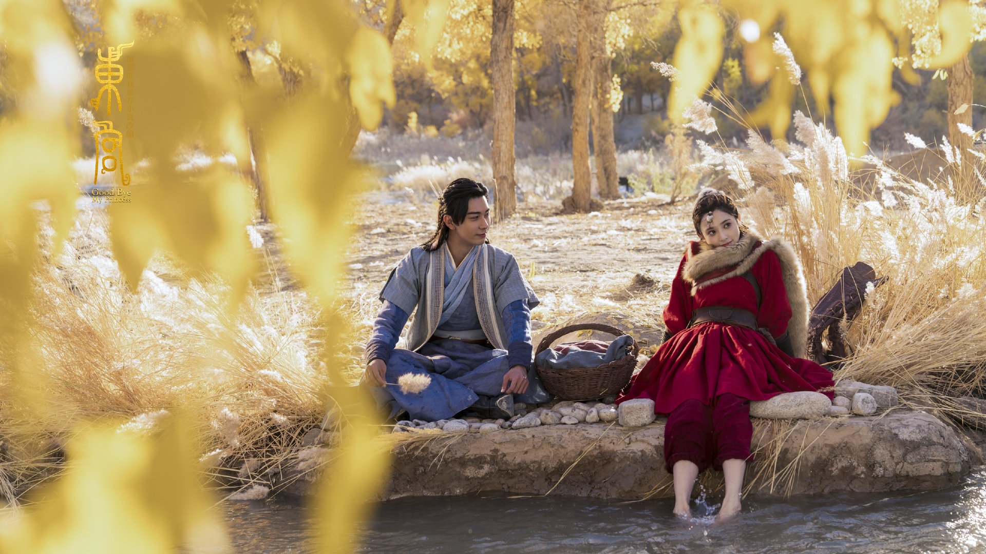 中国女篮核心球员带伤出战 展现拼搏精神,中国女篮主力队员有哪些