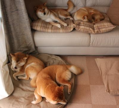 俱乐部冠军杯官网-中国三人篮球男队提升转换进攻稳定性，中国男篮三人篮球队员是谁