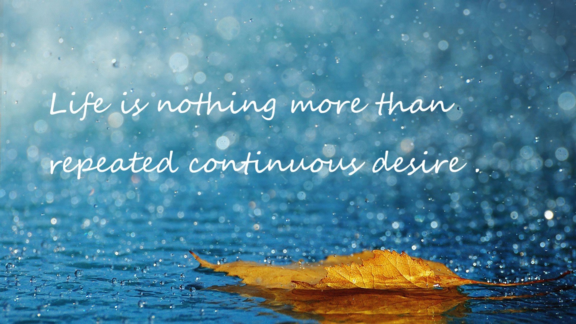 中国足球文化传承断裂隐忧，中国足球文化的现状