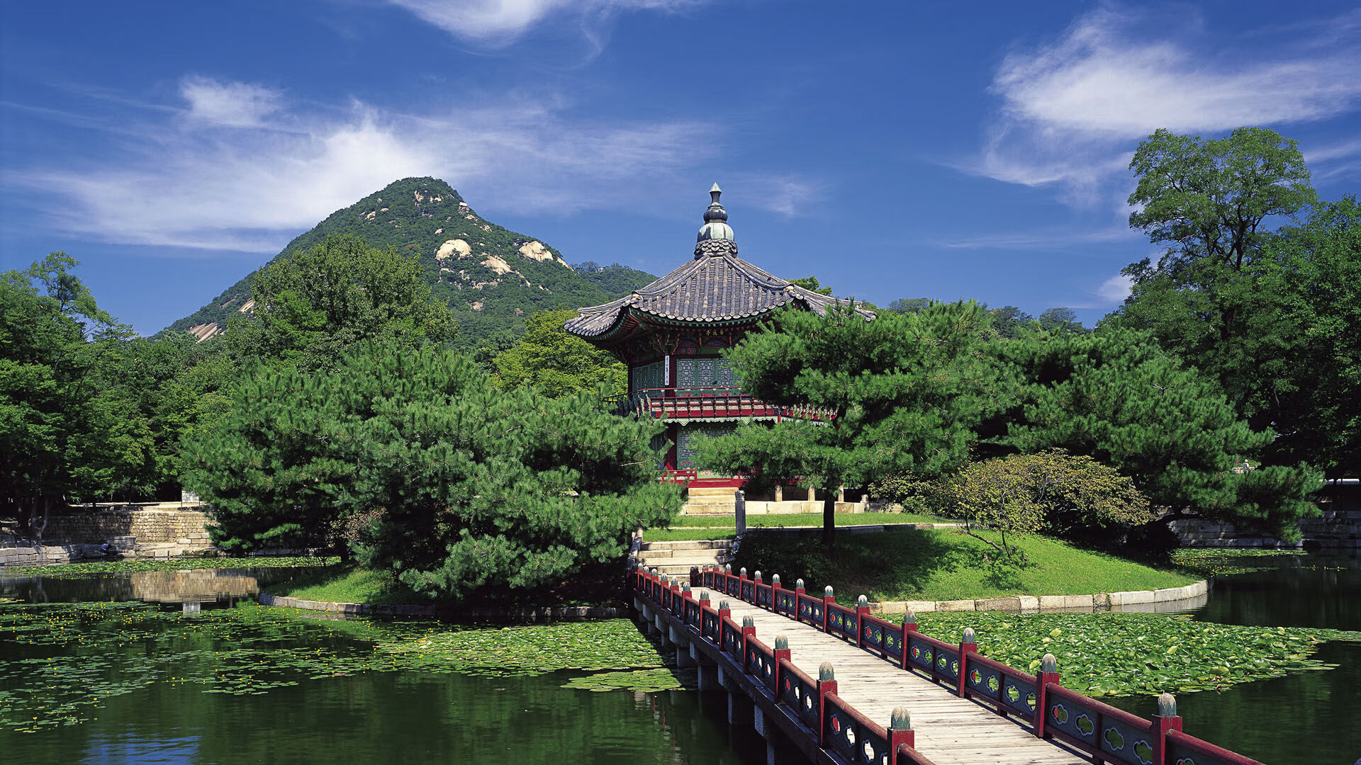 体育新闻中心推动体育短视频内容创新发展，体育新闻报道视频